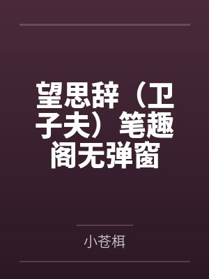 望思辞（卫子夫）笔趣阁无弹窗