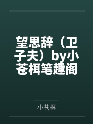 望思辞（卫子夫）by小苍栮笔趣阁无弹窗
