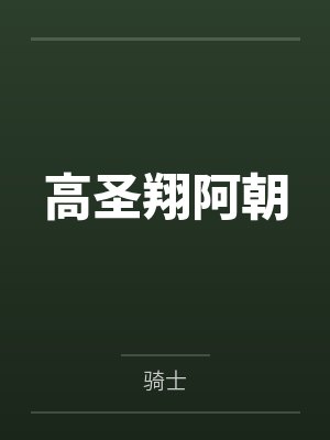 高圣翔阿朝