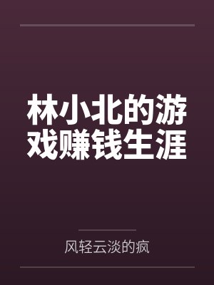 林小北的游戏赚钱生涯